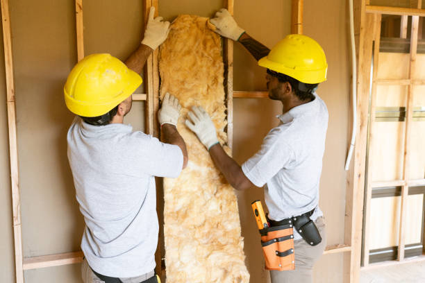 Best Insulation for New Construction  in Harwood Heights, IL